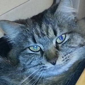 Meet your Posher, Stacy